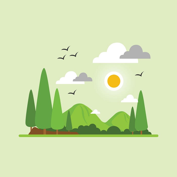 Nature landscapes with green trees